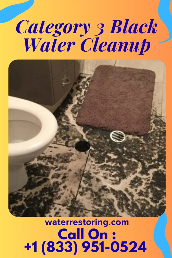 Category 3 Black Water Cleanup in Glenolden, PA