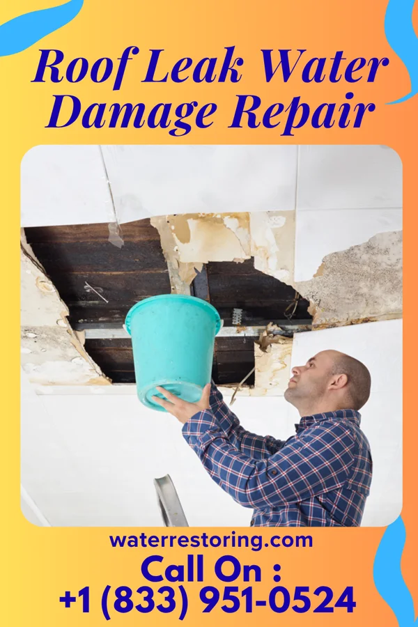 Roof Leak Water Damage Repair in Glenolden, PA