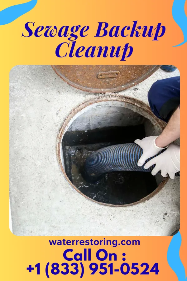 Sewage Backup Cleanup in Glenolden, PA