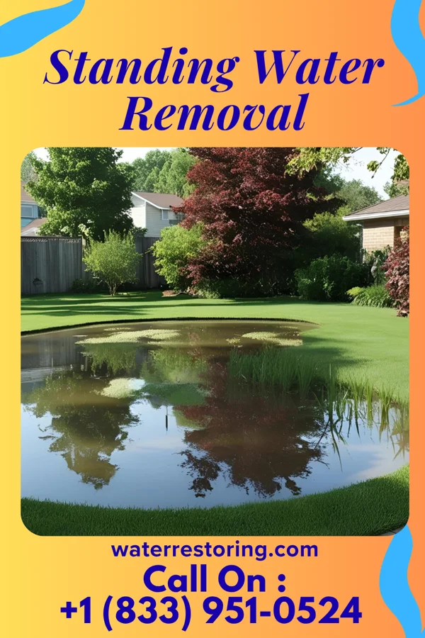 Standing Water Removal in Glenolden, PA